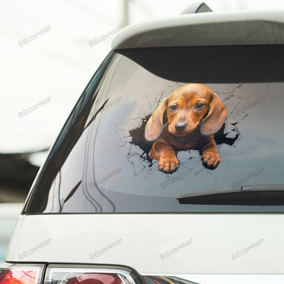 Dachshund Puppy Crack Car Decal Sticker