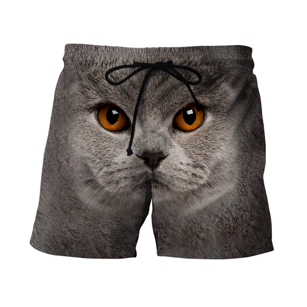 British Shorthair Cat face hair premium hoodie sweatshirt cover