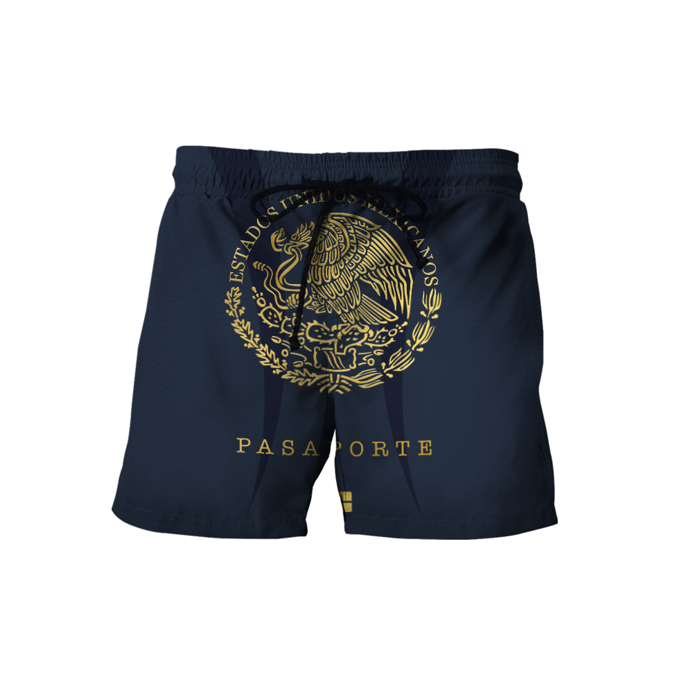 Mexico Pasaporte 3D All Over Printed Unisex Hoodie