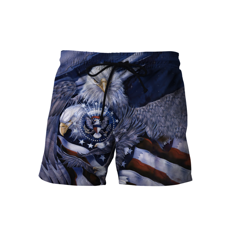American Spirit Eagle 3D All Over Print  Hoodie DL20219