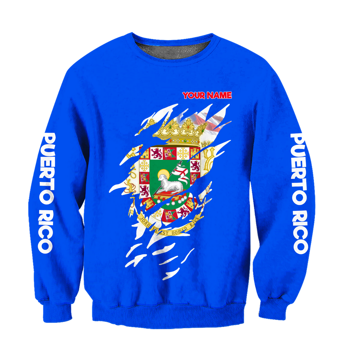 Customize Name Puerto Rico Hoodie For Men And Women MH19032102
